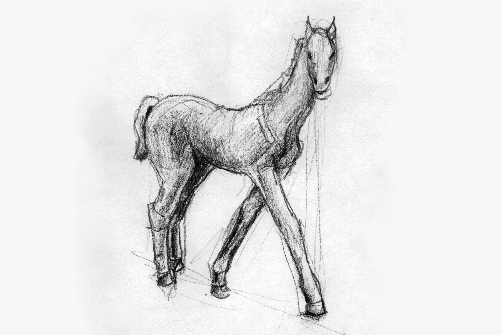 ... inspired by the marvelous sculpture of a filly, made by renée sintenius